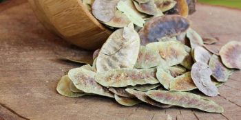 Açlık Otu Nedir? İşte Doğal Müshil Olarak da Bilinen Açlık Otunun Faydaları