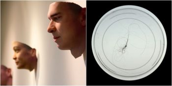 Toplanan DNA’lar Sayesinde İnsanların 3 Boyutlu Portreleri Yapıldı: Stranger Visions