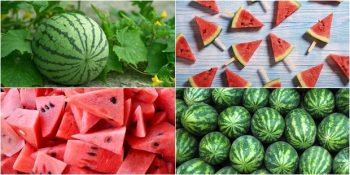 Bir Hafta İçerisinde 5 Kilo Verin: Mucizevi Karpuz Diyeti