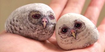 Küçük Taşları Tatlı Mı Tatlı Hayvanlara Dönüştüren Japon Sanatçı