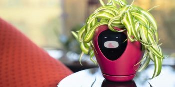 Bitkilerin Ruh Halini Anlamanızı ve Onlarla Konuşmanızı Sağlayan Akıllı Saksılar