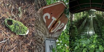 Doğanın Medeniyete Karşı Verdiği Savaşı Kazandığı 45 Büyüleyici An