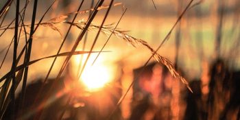 Güneş Tutulması Etkileriyle 1 – 7 Temmuz Haftalık Burç Yorumları