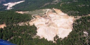 Kaz Dağları’nda Yaşanan Ağaç Katliamı Sosyal Medyanın Gündeminde