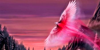 Olağanüstü Bir Kuş Olan Zümrüd-ü Anka Kuşu Hakkında Bilmeniz Gerekenler