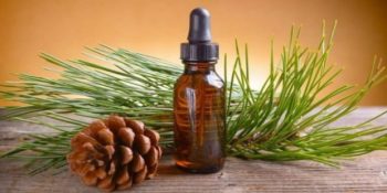 Saç Konusunda Bir Mucize: Çam Terebentin Yağı