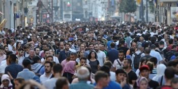 Yüksek Lisanstan Doktoraya: Türkiye’de İşsizlik Rekor Kırıyor