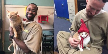 Barınaklarda Yaşayan Kedileri Kabul Ederek Mahkumların Hayatlarını Değiştiren Hapishane