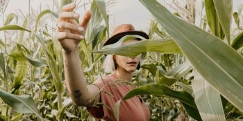 Yeni Ay Etkileriyle Yaza Veda: 26 Ağustos – 1 Eylül Haftalık Burç Yorumları