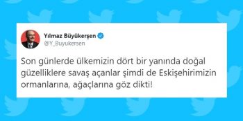 Eskişehir’de 31 Bin Hektarlık Alanda Ağaç Katliamı İçin Onay Verildi