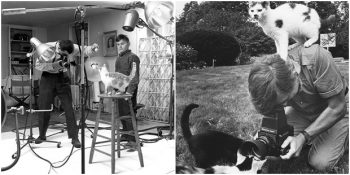 Ömrü Boyunca Doksan Bin Kedi Fotoğraflayan Efsane: Walter Chandoha