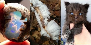 Adeta Tek Boynuzlu At Görmek Kadar Nadir Sayılabilecek 18 Görüntü