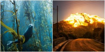 Doğru Zamanda Doğru Yerde Çekilmiş Photoshop’suz 21 Fotoğraf