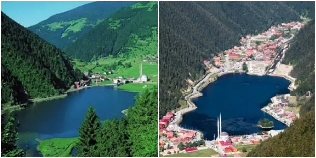 Doğa Katliamları