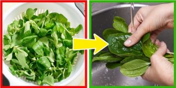 Günlük Hayatta Farkında Olmadan Yaptığımız Sağlığa Zararlı 11 Hata