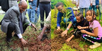 Bir Günde 350 Milyon Ağaç Dikerek Dünya Rekoru Kıran Etiyopya