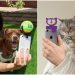 Kedi ve Köpeğinizle Harika Selfie’ler Çekmenizi Sağlayacak Telefon Aparatları