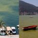 Fethiye Körfezi’ndeki Kirlilik ve Renk Değişimi Sosyal Medyanın Gündeminde