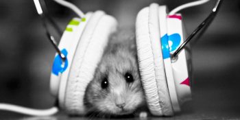 Her Bütçeye Uygun 10 Kulak Üstü Kulaklık Önerisi