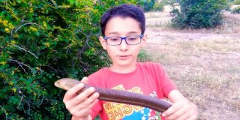 Çektiği Hayvan İnceleme Videolarıyla Fenomen Olan Minik Youtuber: Mehmet Kanur