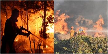 Ciğerimizi Yakan Orman Yangınlarının Son Bir Yıldaki Ağır Bilançosu