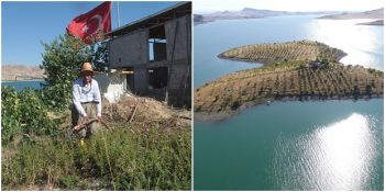 Yerli Robinson Crusoe: Keşfettiği Adayı Binlerce Ağaç Dikerek Cennete Çeviren Ziya Dede