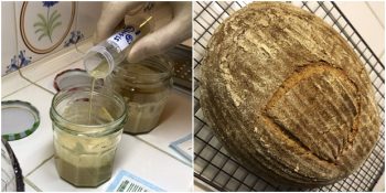 4 Bin 500 Yıllık Mayadan Taptaze Bir Ekmek Pişiren Çılgın Bilim İnsanları