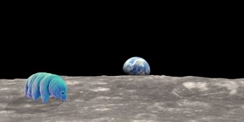 İsrail’in Binlerce Su Ayısıyla Birlikte Ay’a Çakılan Uzay Aracı