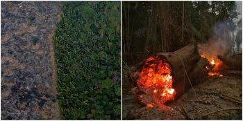 Çarpıcı Fotoğraflarla Amazon’da Sayısı 80 Bini Aşan Orman Yangınları