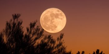 Hasat Zamanı: 14 Eylül Balık Burcunda Dolunay ve Burçlara Etkileri