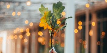 Yenilikleri Kucaklama Zamanı: 16 – 22 Eylül Haftalık Burç Yorumları