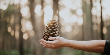 Odak Noktamız İlişkiler: 23 – 29 Eylül Haftalık Burç Yorumları