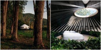 Amerikalı Çiftin Bir Yılda Ormanın Ortasına İnşa Ettiği Büyüleyici Ev