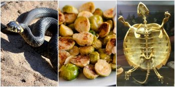 Sizi Ortamların En İlgi Çekici İnsanı Yapacak 22 Beyin Yakan Bilgi