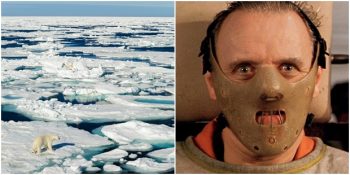 İklim Değişikliği ile Mücadele İçin İnsan Eti Yemeyi Öneren İsveçli Bilim İnsanı