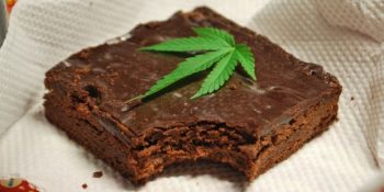 Almanya’da Cenaze Sonrası Misafirlere Esrarlı Kek Servis Eden Restoran