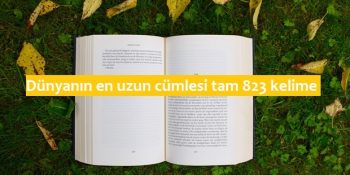 Edebiyatla İlgili Güldürürken Düşündüren 15 Çarpıcı Bilgi
