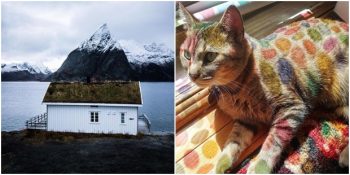 Photoshop Olmadığına İnanmakta Zorlanacağınız 33 Büyüleyici Fotoğraf