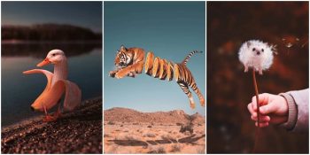 Hayal Gücünün Sınırlarını Zorlayarak Ortaya Sürreal Çalışmalar Çıkaran Ronal Ong