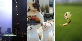 Deklanşöre Doğru Zamanda Basılmış 23 Nefes Kesen Fotoğraf