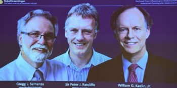 Hücrelerin Oksijen Kullanımına İlişkin Keşifleriyle Nobel Tıp Ödülü’nü Kazanan 3 Bilim İnsanı
