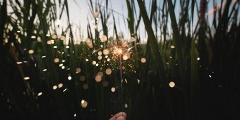 Boğa Burcunda Dolunay Etkileriyle 11 – 17 Kasım Haftalık Burç Yorumları