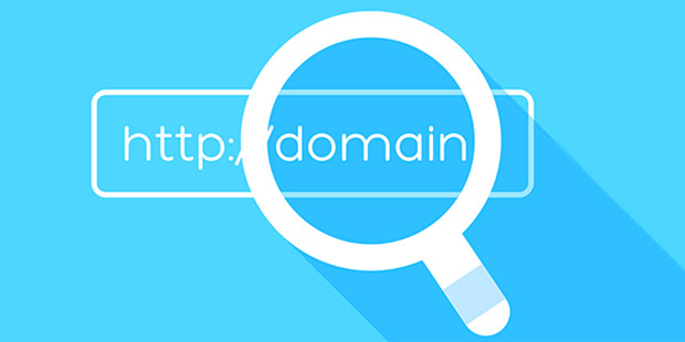 Domain Nasıl Alınır? Adım Adım Domain Satın Alma