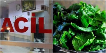 İstanbul’da “Ispanak Zehirlenmesi” Nedeniyle Tedavi Altına Alınanların Sayısı Artıyor