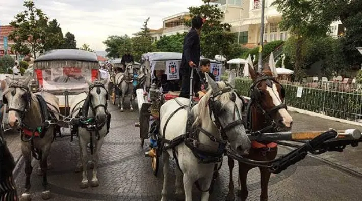 ruam hastalığı
