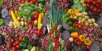 Güvenilir ve Adil Gıdaya Erişmek için Yapılması Gerekenler