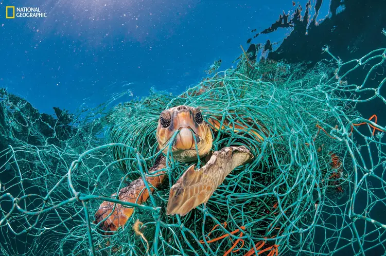 plastik hakkında gerçekler