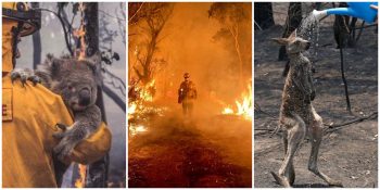 Avustralya Yangınları: Aylardır Devam Eden Yangından İçimizi Acıtan 79 Fotoğraf