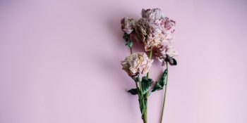 Cesur Adımlar:  27 Ocak-2 Şubat Haftalık Burç Yorumları