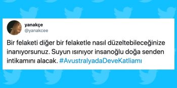 Yaklaşık 20 Bin Deveyi Keskin Nişancılarla Telef Etmek İsteyen Avustralya Sosyal Medyanın Gündeminde